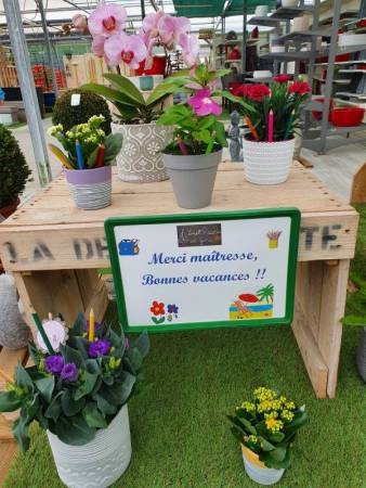 14-Fin-dannee-scolaire