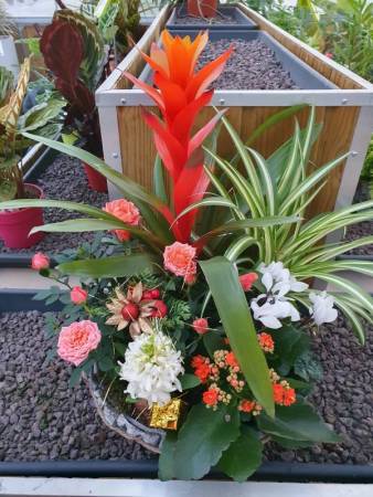 6-composition-interieur