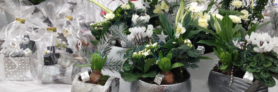 Marché de Noël Octeville sur Mer