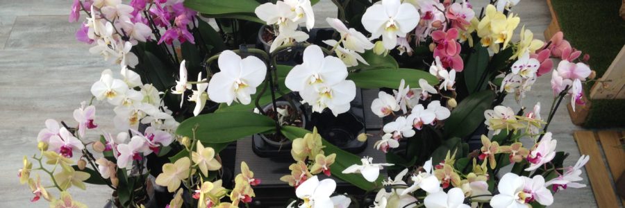 Les nouveautés de l’automne!       …