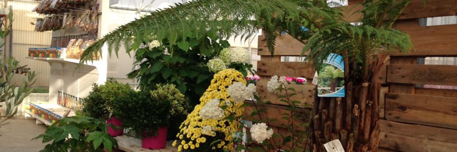 Les couleurs de l’automne!
L'…