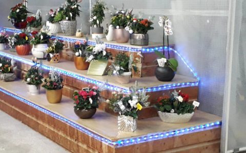 Offrir des fleurs c’est le geste le…