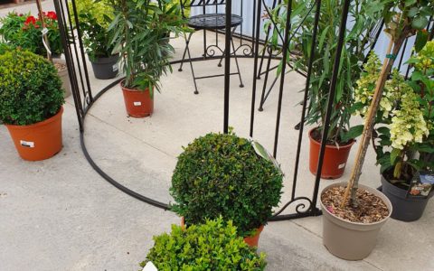 Fermeture de la jardinerie pour con…