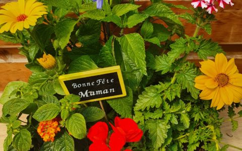 La fête des Mères, c’est demain!…