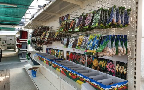 Les plantations du mois d’octobre! …