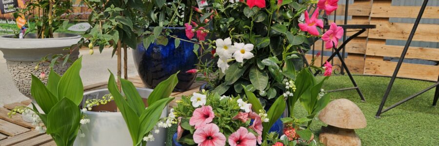 Mercredi, nous serons le 1er mai. Muguet en pot 2 griffes 1er choix, ou compositions, tout ce qu’il faut pour porter bon…